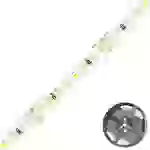 EVN SB2024802840 LED-Streifen EEK: C (A - G) mit offenem Kabelende 24V 5m Neutralweiß 1St. EVN SB2024802840 LED-Streifen EEK: C (A - G) mit offenem Kabelende 24V 5m Neutralweiß 1St.