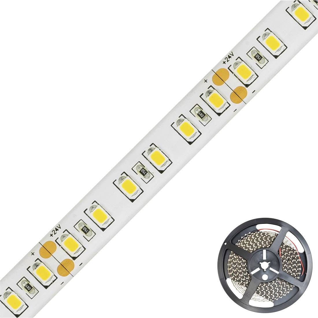 LED-Streifenleuchte mit +24V-Markierungen und eine Rolle des Streifens auf weißem Hintergrund dargestellt.