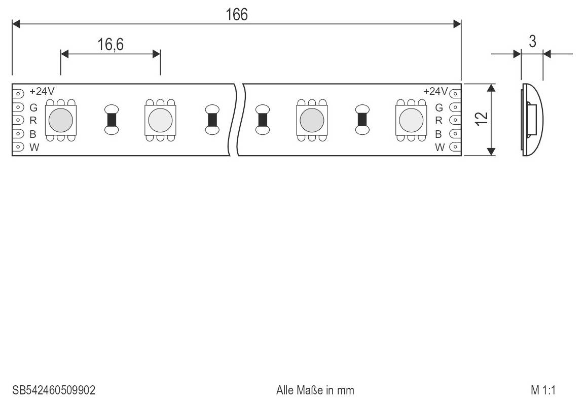 Technisches Diagramm eines LED-Streifensegments mit einer Länge von 166 mm, einer Breite von 12 mm, einer Dicke von 3 mm und einem Modulabstand von 16,6 mm mit den Anschlüssen +24V, G, R, B, W.