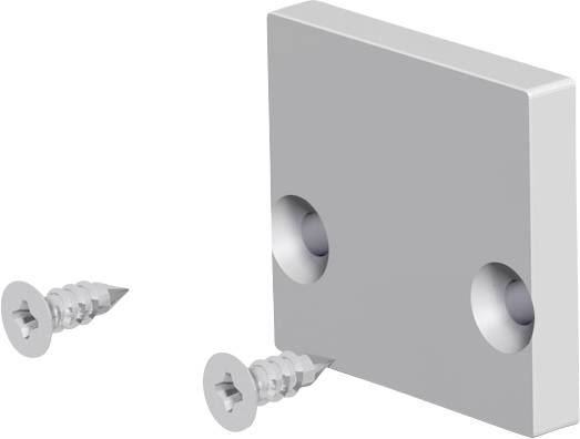 Zwei Schrauben neben einer quadratischen Metallmontageplatte mit zwei Senklöchern, dargestellt als Hardwarekomponenten-Illustration.