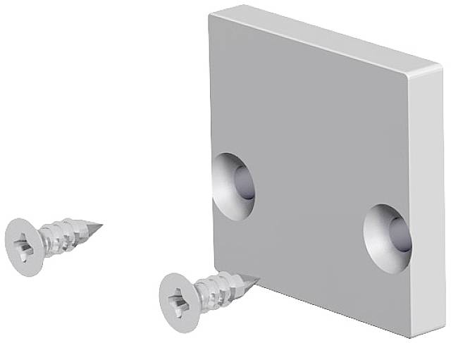 Metallplatte mit zwei Schrauben. Die Platte hat zwei Löcher für die Schraubenbefestigung, die an einer Wand oder einem Objekt montiert werden kann.