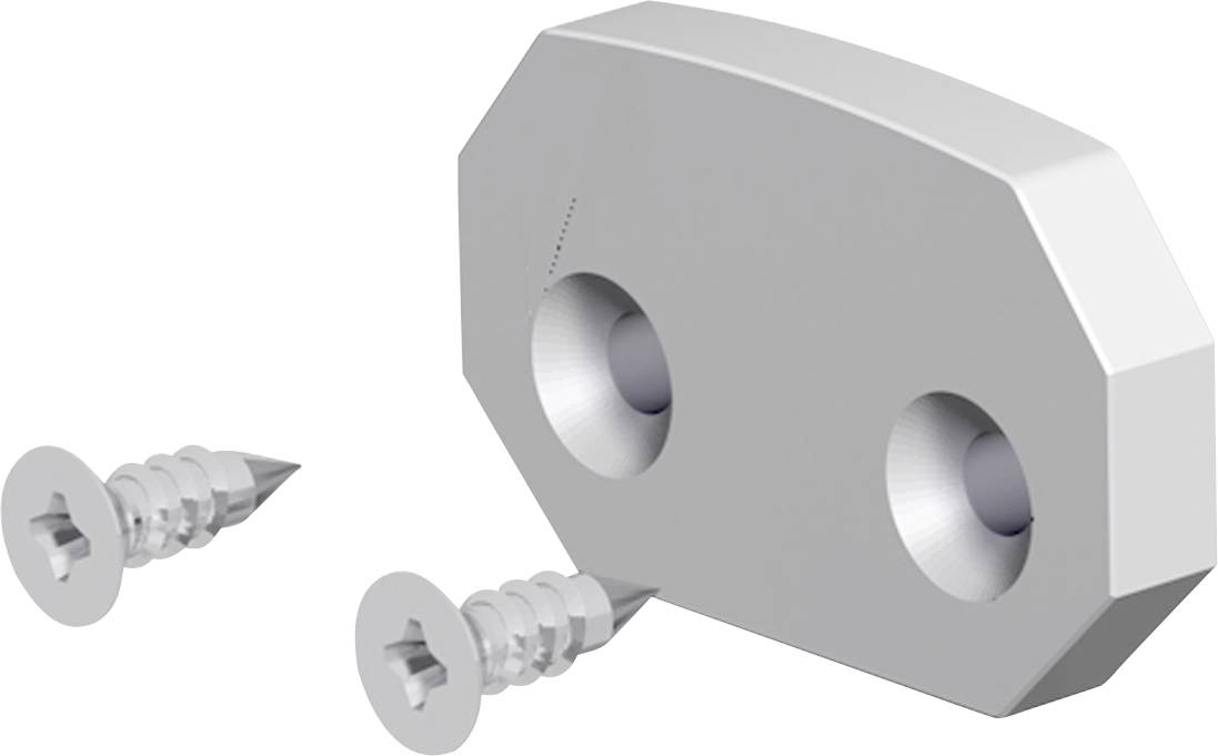 Metallplatte mit zwei runden Löchern und zwei dazugehörigen Schrauben, möglicherweise ein Teil eines mechanischen Befestigungssystems.