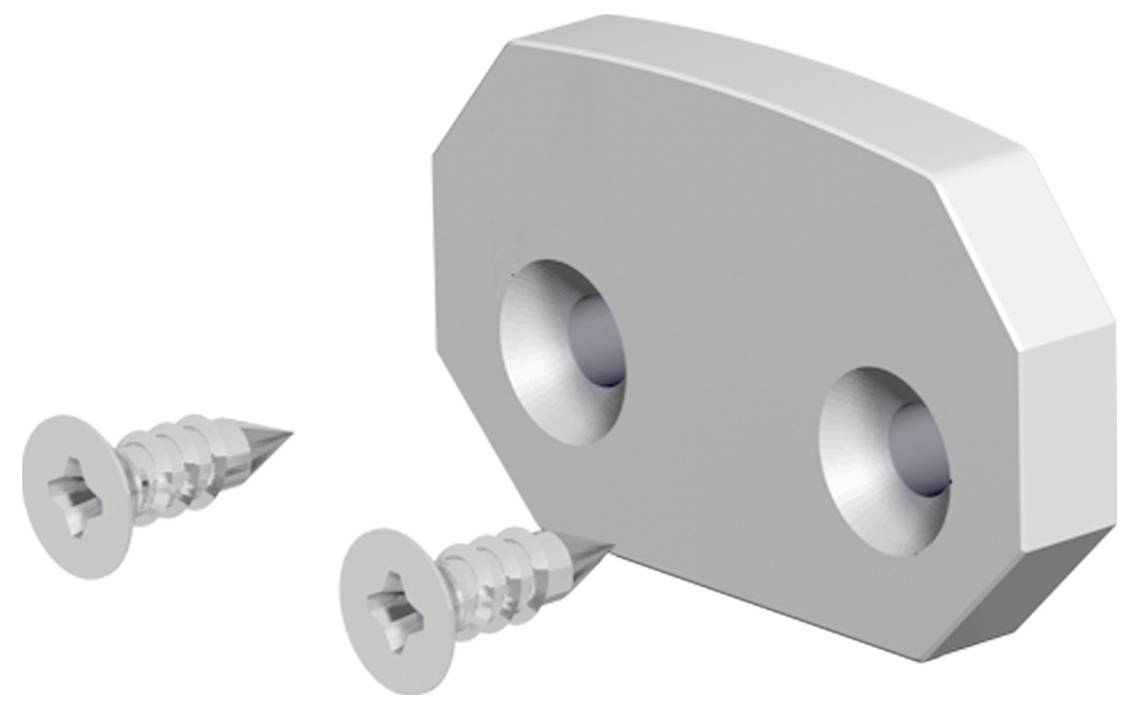 Zwei Schrauben neben einer grauen Wandmontierplatte mit zwei Senklöchern, dargestellt als einfache Hardwarebestatteilzeichnung.