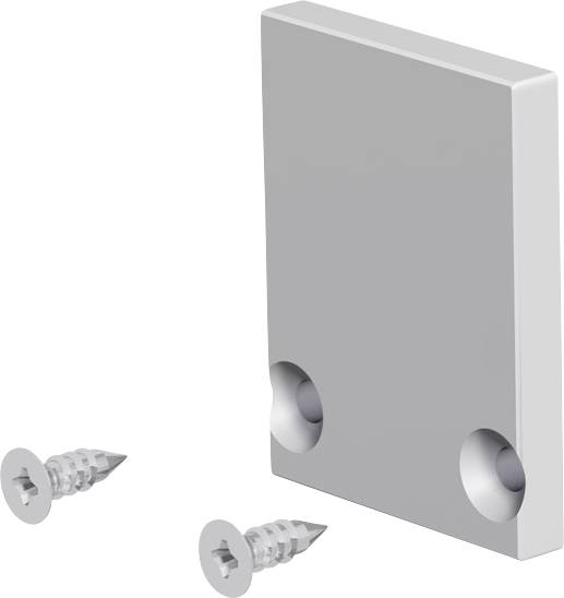 Metallmontageplatte mit zwei Senklöchern und zwei daneben abgebildeten Schrauben auf weißem Hintergrund.