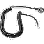 AS Schwabe 70428 alimentation Câble de raccordement noir 4 m