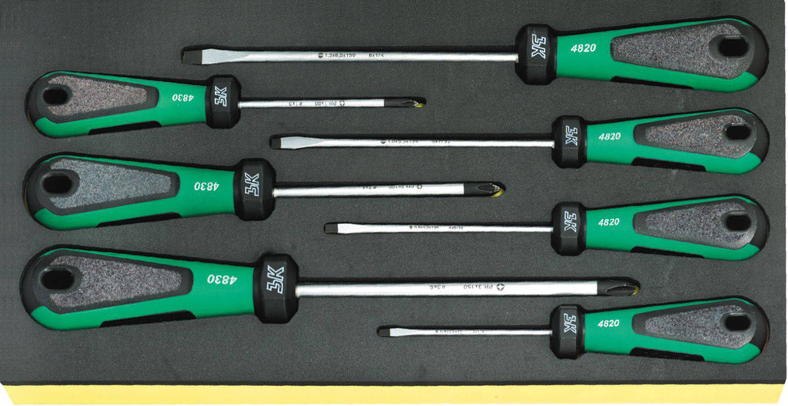 Stahlwille TCS 4820/4830 Schraubendreher-Set