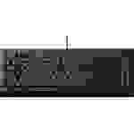 RAZER Cynosa V2 Kabelgebunden Gaming-Tastatur Spritzwassergeschützt, Beleuchtet Deutsch, QWERTZ, Windows® Schwarz