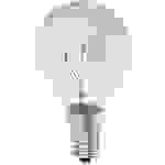 Xavax Ampoule de four 70 mm 230 V E14 40 W CEE G (A - G) blanc chaud