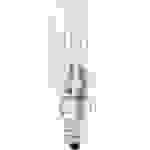 Xavax Ampoule halogène 80 mm 230 V E14 25 W CEE G (A - G) blanc chaud forme de tube 1 pc(s)