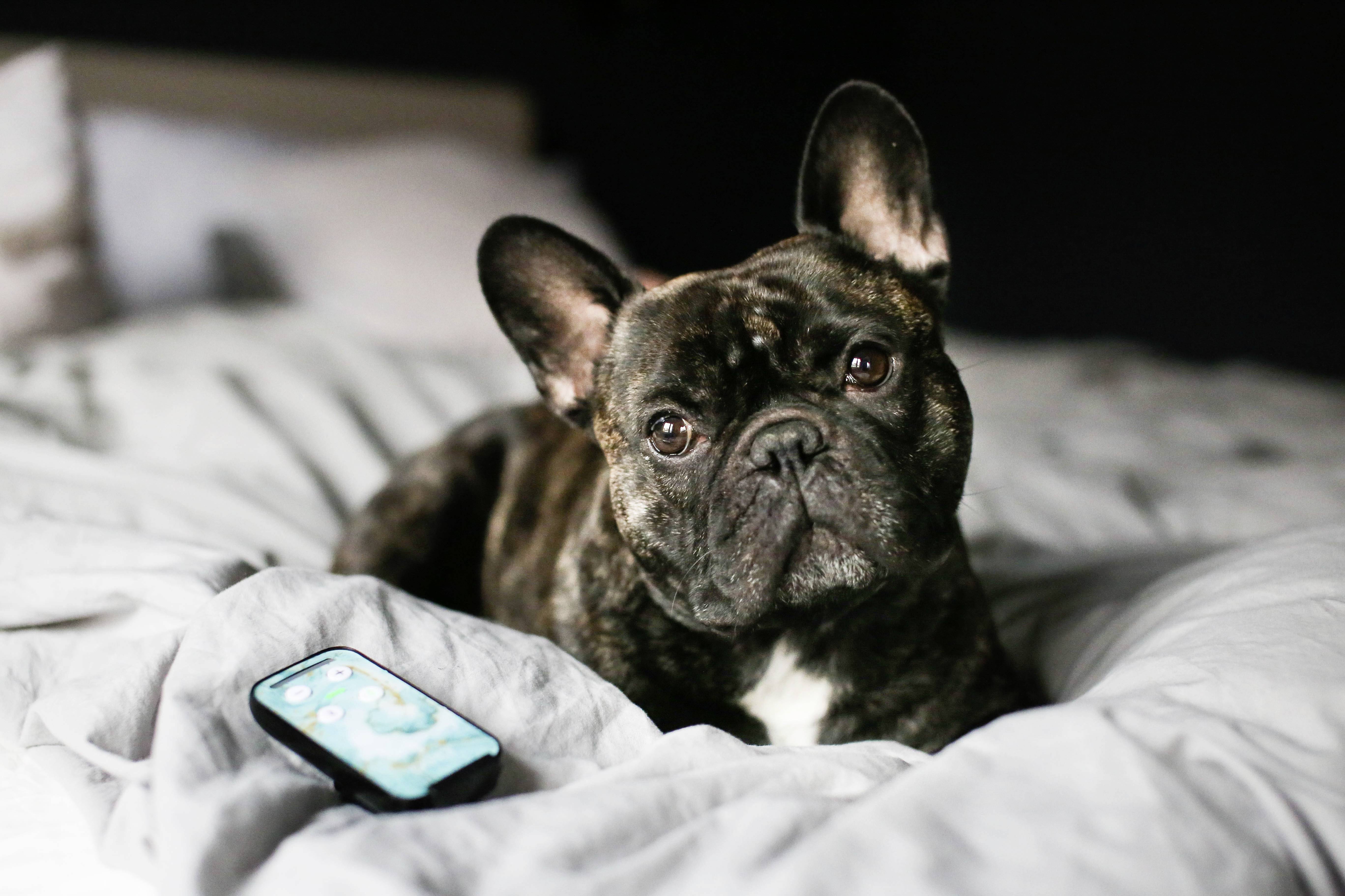 Capidi Schwarz 32899 Babyphone DECT