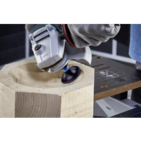 Wolfcraft 5608000 8 Schleifaufsätze mit Eindrehdorn, Ø 50mm Durchmesser 50mm Wolfcraft 5608000 8 Schleifaufsätze mit Eindrehdorn, Ø 50mm Durchmesser 50mm