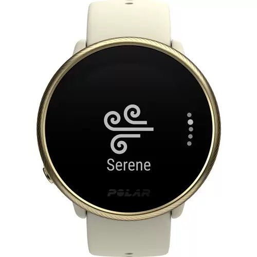 Polar Ignite 2 Pulsuhr mit integriertem Sensor 30mm S/L Champagner Polar Ignite 2 Pulsuhr mit integriertem Sensor 30mm S/L Champagner