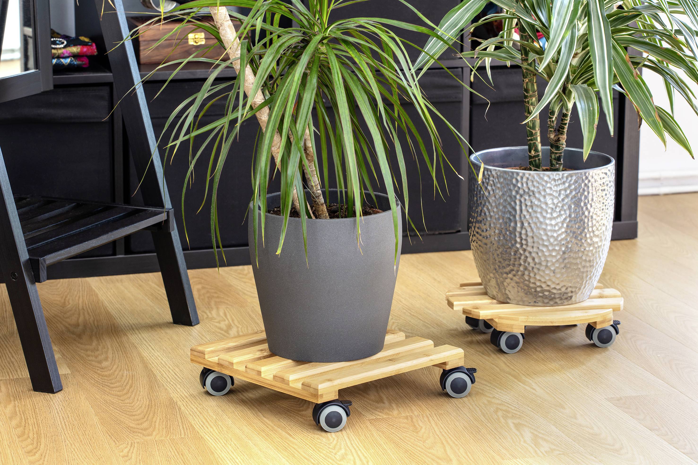 Metafranc WU0825340Pflanzenroller Bambus Traglast (max.): 60kg 300mm x 300mm x 74mm Anzahl Lenkrollen 4