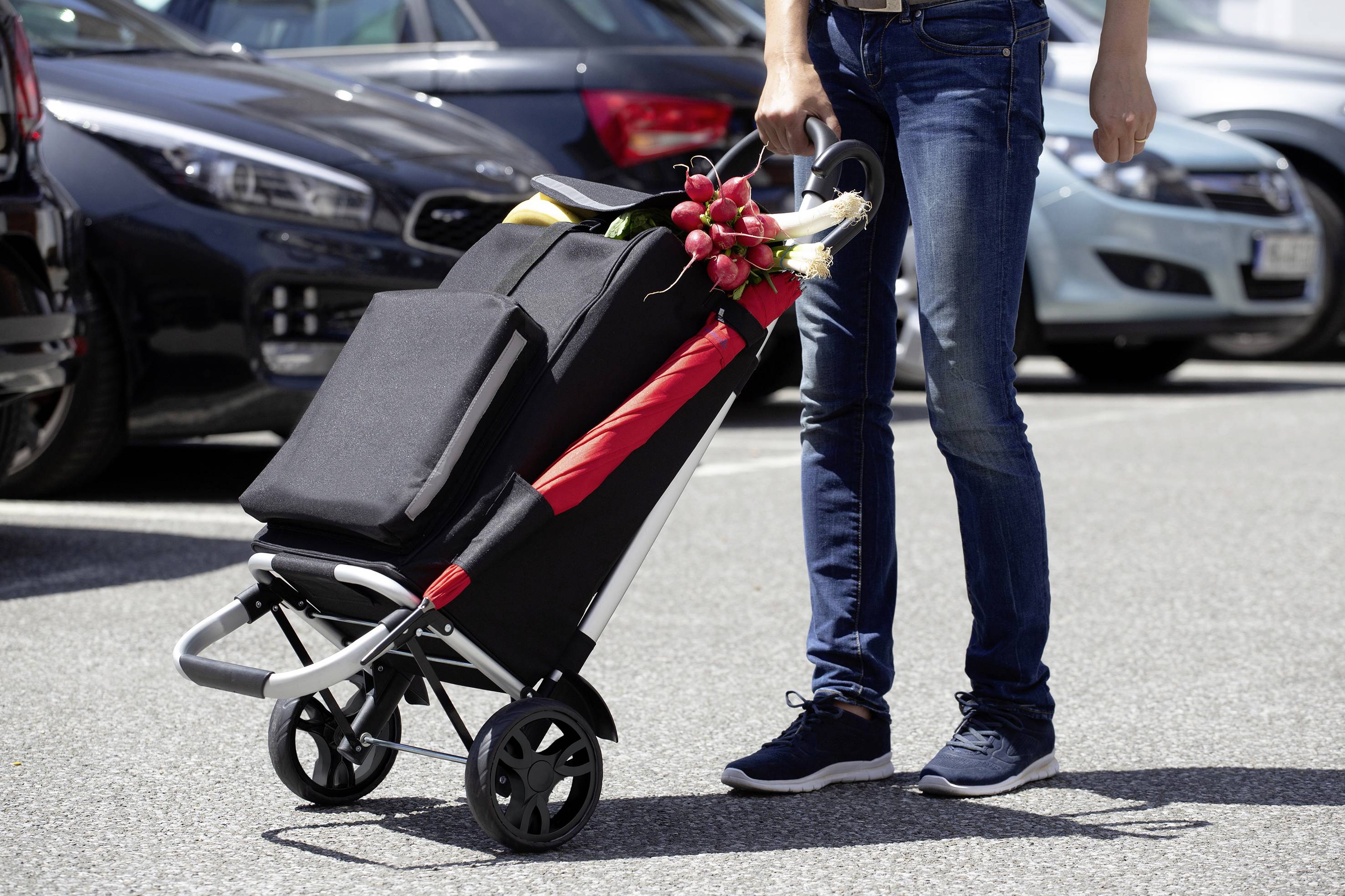 Metafranc WU6816800 Einkaufstrolley (B x H x T) 45 x 103 x 36cm