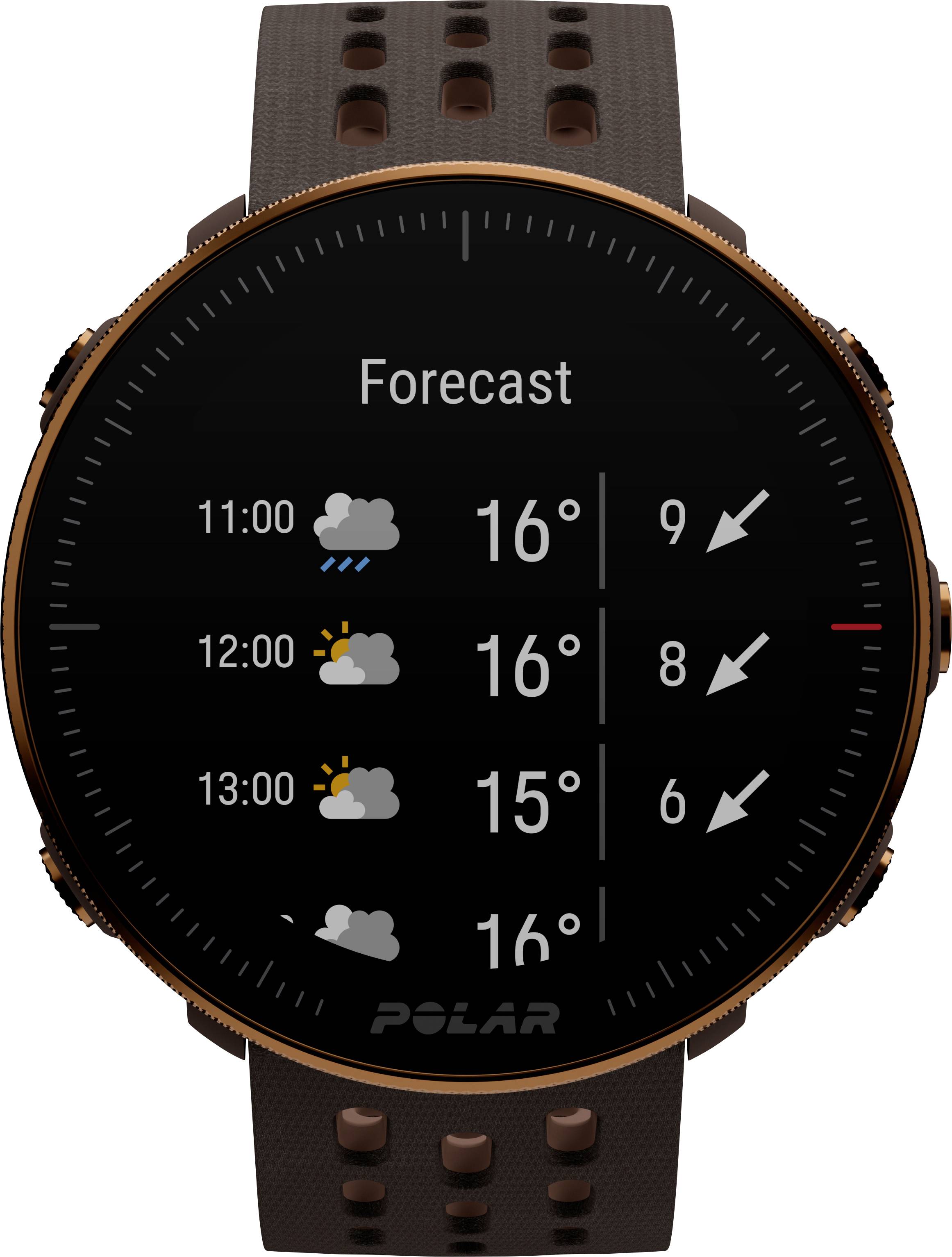 Polar Vantage M2 Smartwatch S/L Braun