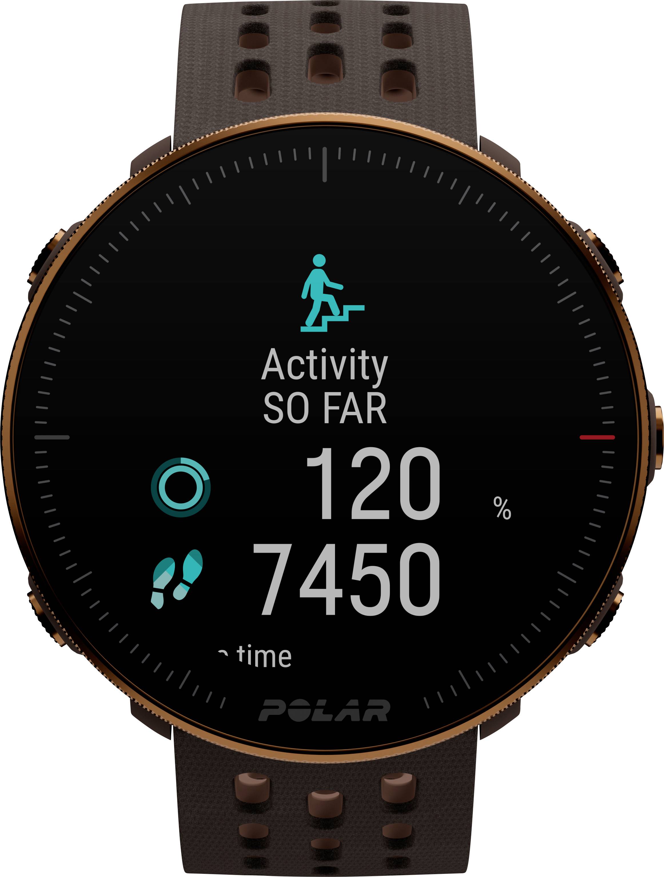 Polar Vantage M2 Smartwatch S/L Braun