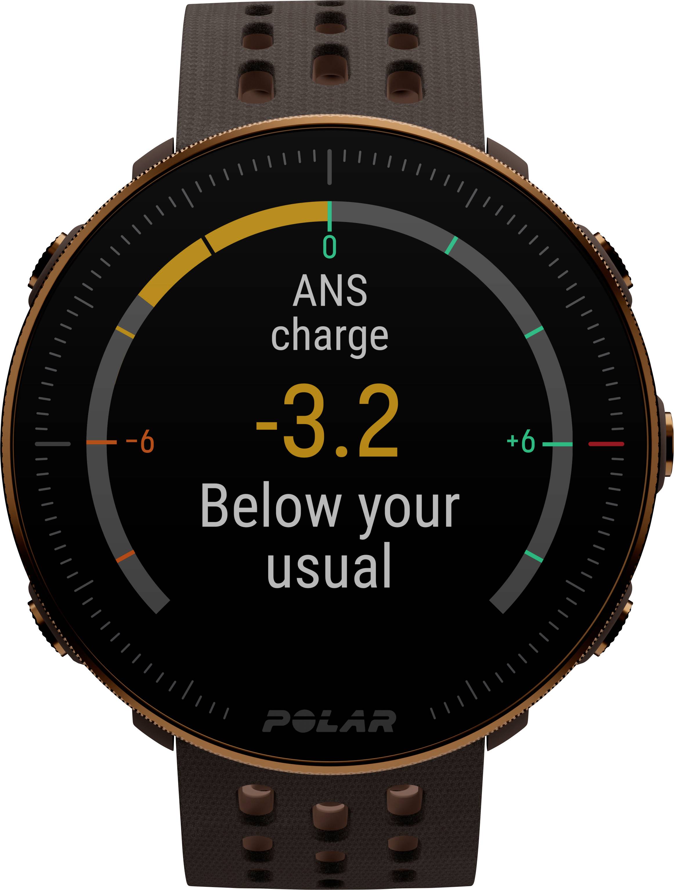 Polar Vantage M2 Smartwatch S/L Braun