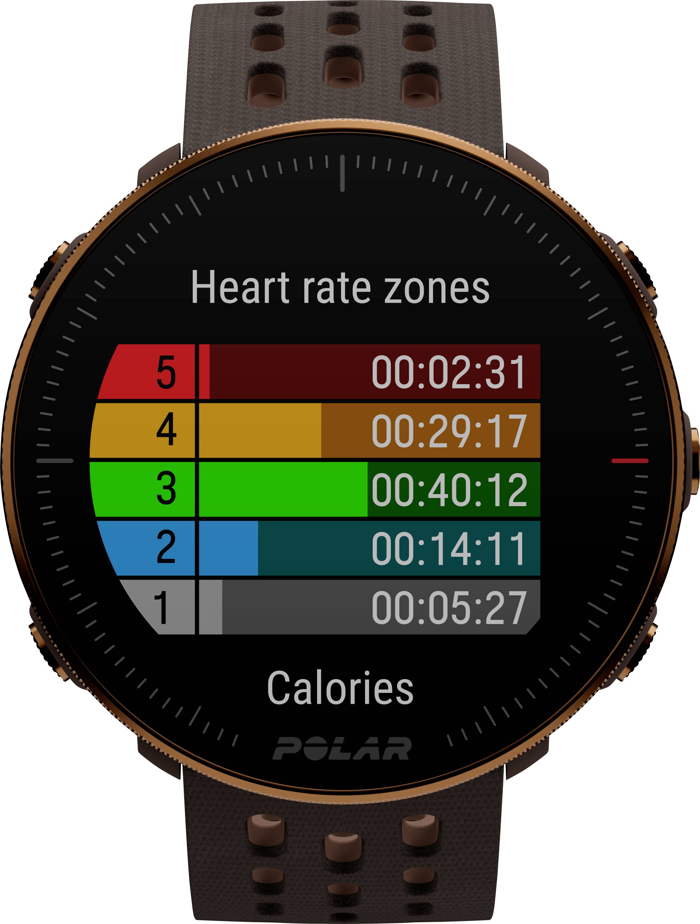 Polar Vantage M2 Smartwatch S/L Braun