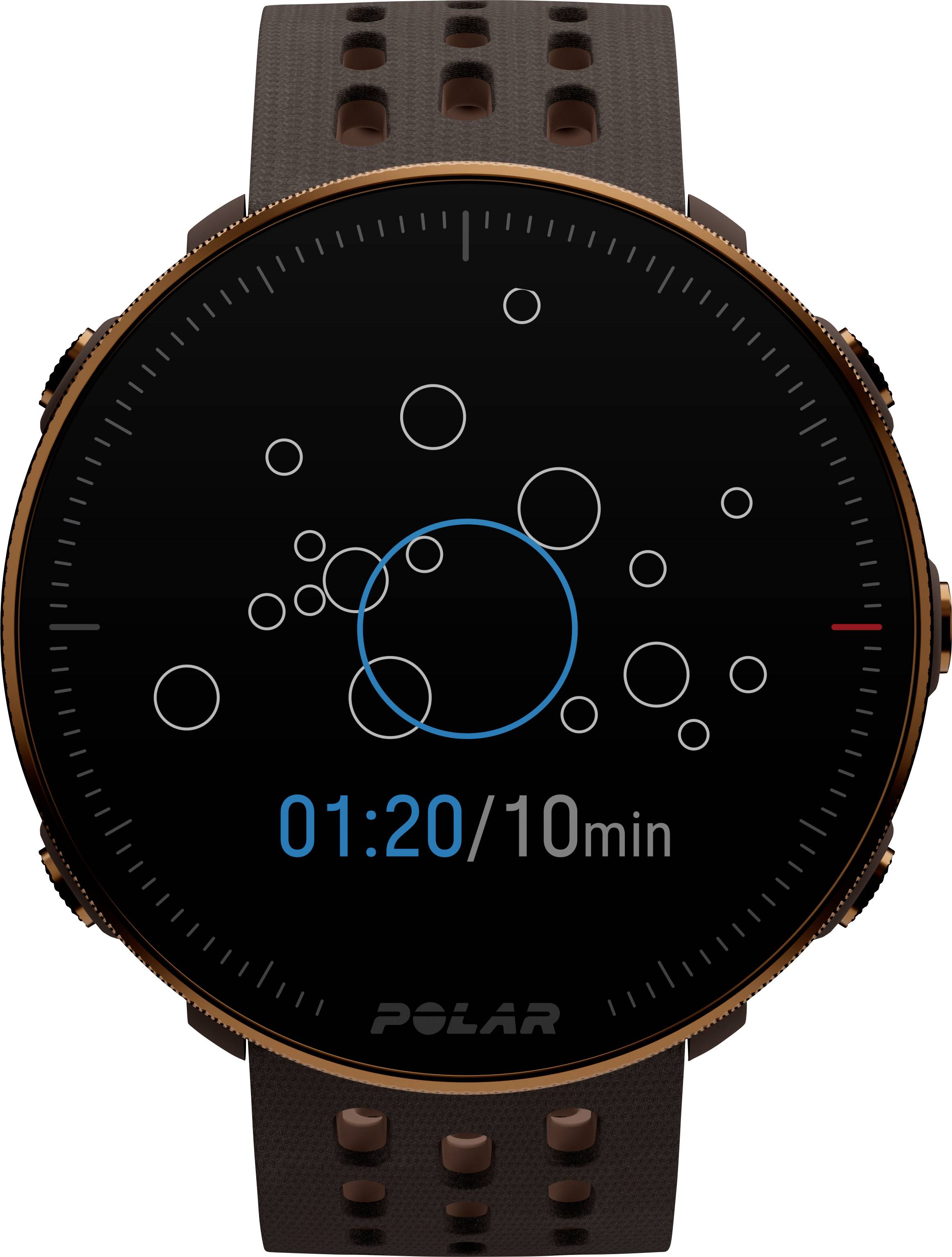 Polar Vantage M2 Smartwatch S/L Braun