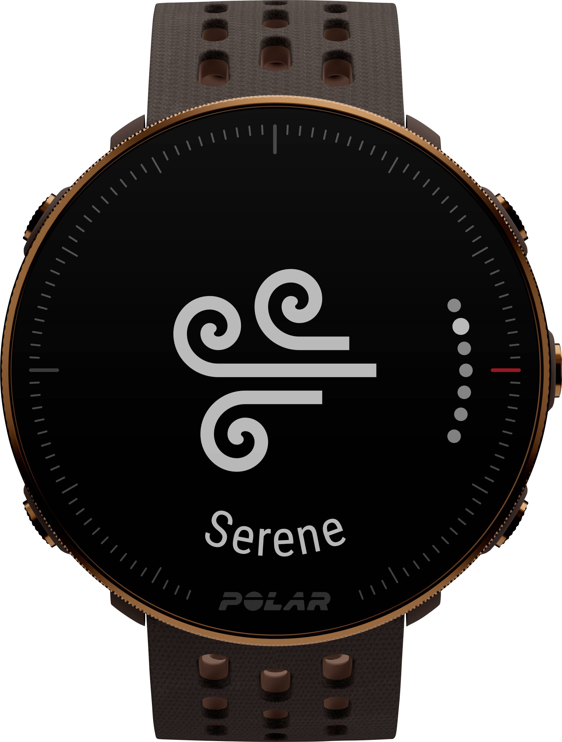 Polar Vantage M2 Smartwatch S/L Braun