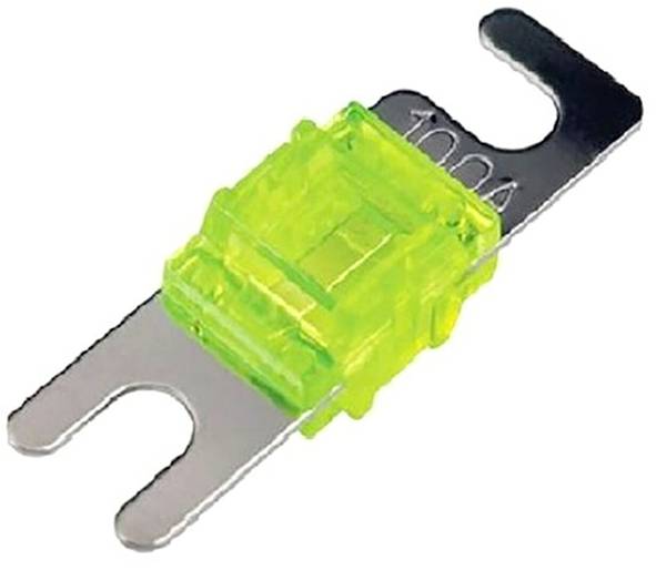 Grüne Flachstecksicherung mit der Aufschrift '100A', geeignet für den Schutz elektrischer Systeme in Fahrzeugen oder Maschinen.