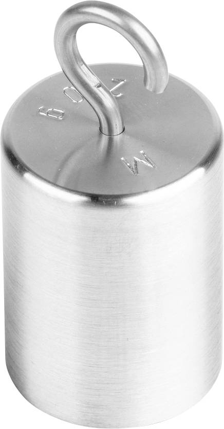 Silbernes Metallgewicht mit Haken, '500 g' Gravur oben. Verwendet für physikalische Experimente oder als Kalibrierungsgewicht.