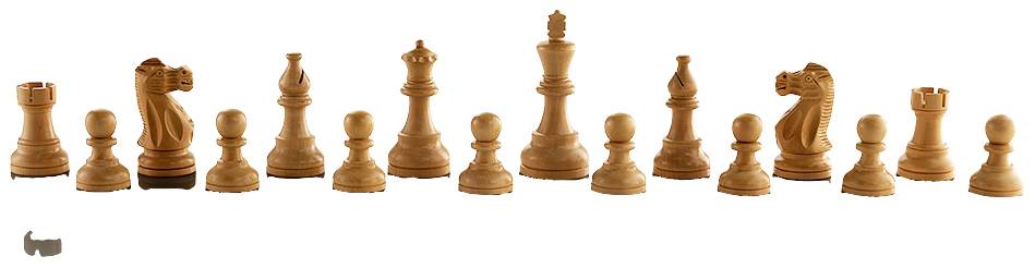 Millennium Supreme Tournament 55 Schachcomputer