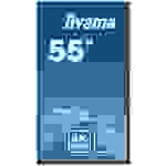 Iiyama ProLite LH5542UHS-B3 Digital Signage Display EEK: G (A - G) 139.7cm 55 Zoll 3840 x 2160 Pixel 18/7