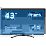 Iiyama ProLite X4373UHSU-B1 LED-Monitor EEK G (A - G) 108cm (42.5 Zoll) 3840 x 2160 Pixel 16:9 3 ms HDMI®, DisplayPort, Mini