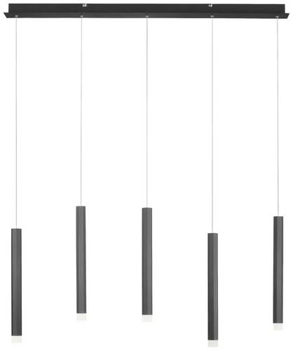 LeuchtenDirekt 15205-18 LED-Pendelleuchte LED 4.80W Schwarz