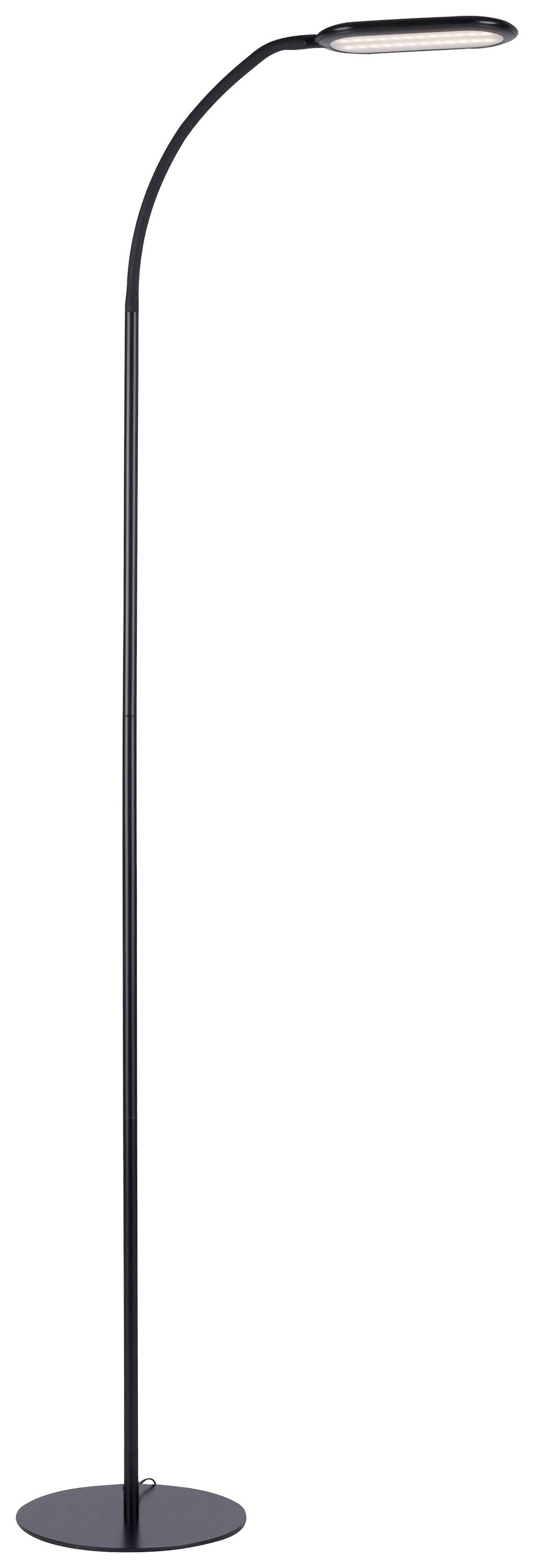 Hohe, schlanke Stehlampe mit gebogenem Hals und kreisförmigem Sockel, geeignet für modernes, minimalistisches Interieur.