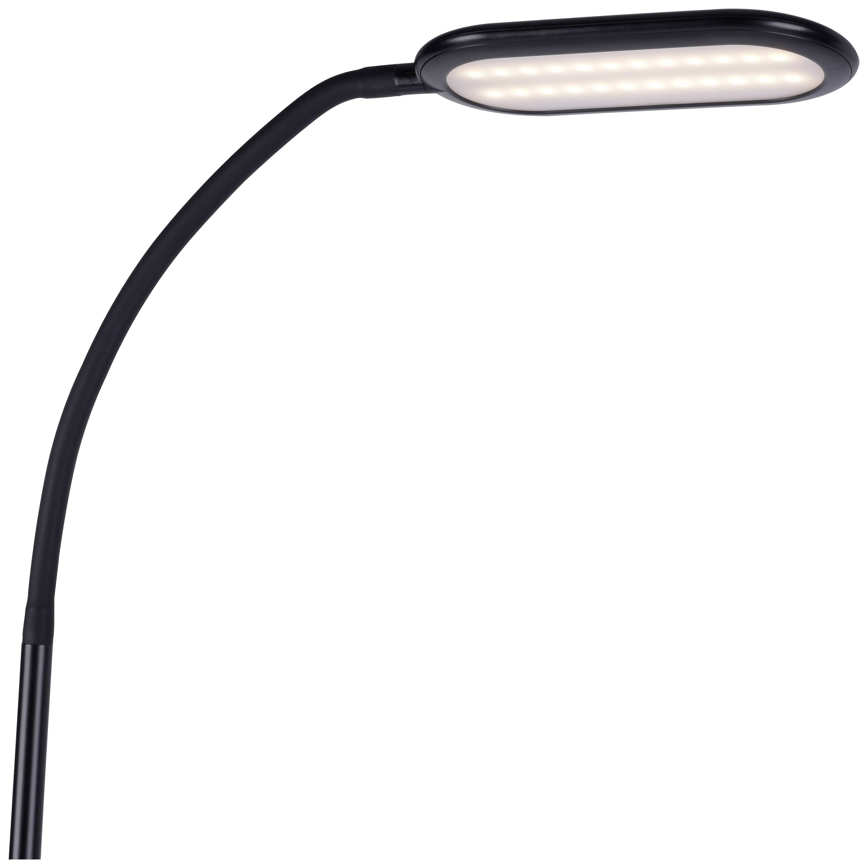 Schwarze, moderne LED-Stehlampe mit gebogenem, schlankem Hals und ovalem Lampenkopf.