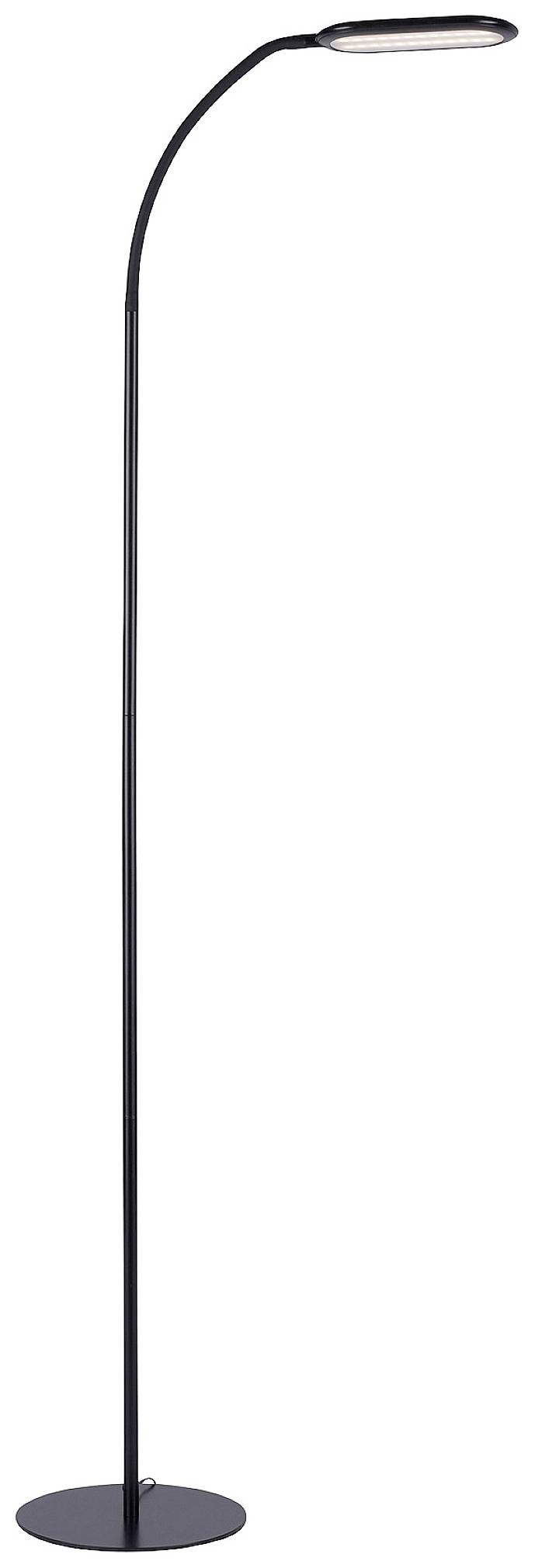 Eine schlanke, schwarze Stehlampe mit gebogenem Hals und flachem, rechteckigem Lampenschirm. Ideal für modernes Wohndesign.