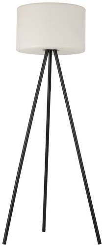 LeuchtenDirekt 19827-18 LED-Stehlampe 4.00W Schwarz