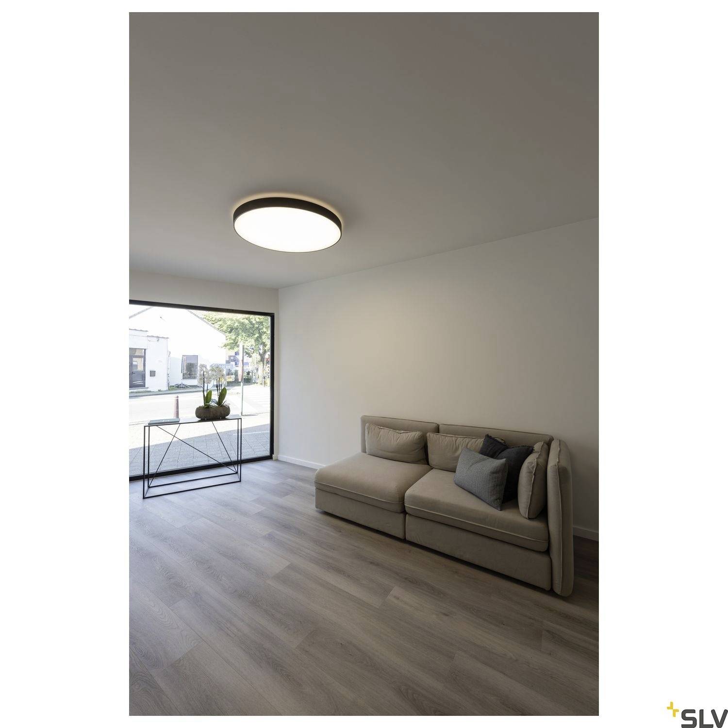 Ein moderner Wohnbereich mit einer grauen Couch und einem runden Deckenlicht. Ein Fenster lässt Tageslicht herein, Pflanzen stehen auf einem Tisch.