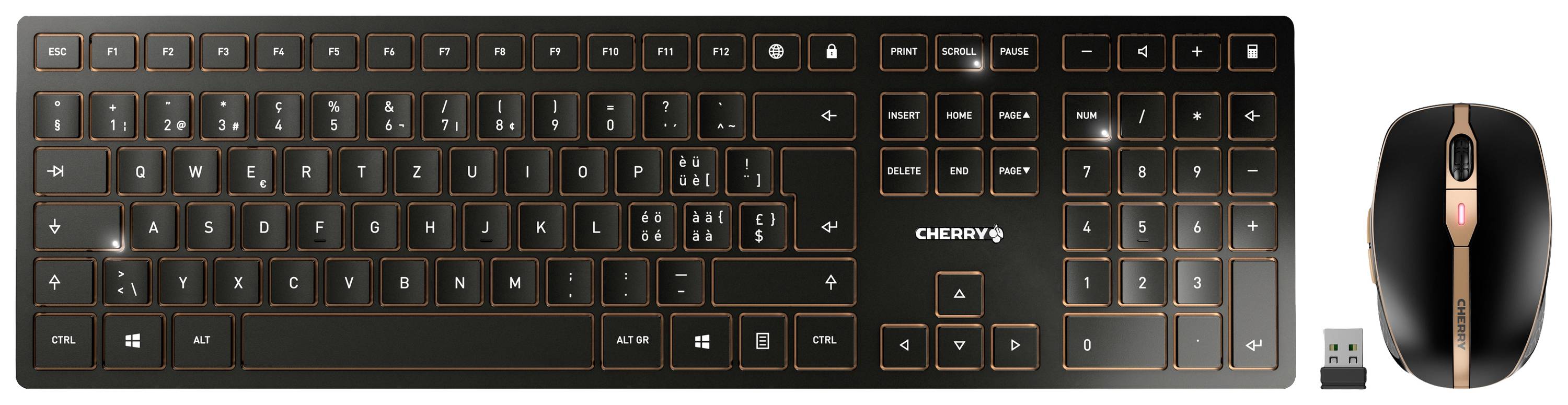 CHERRY JD-9100CH-2 Kabellos, Funk Tastatur, Maus-Set Schweiz, QWERTZ Schwarz