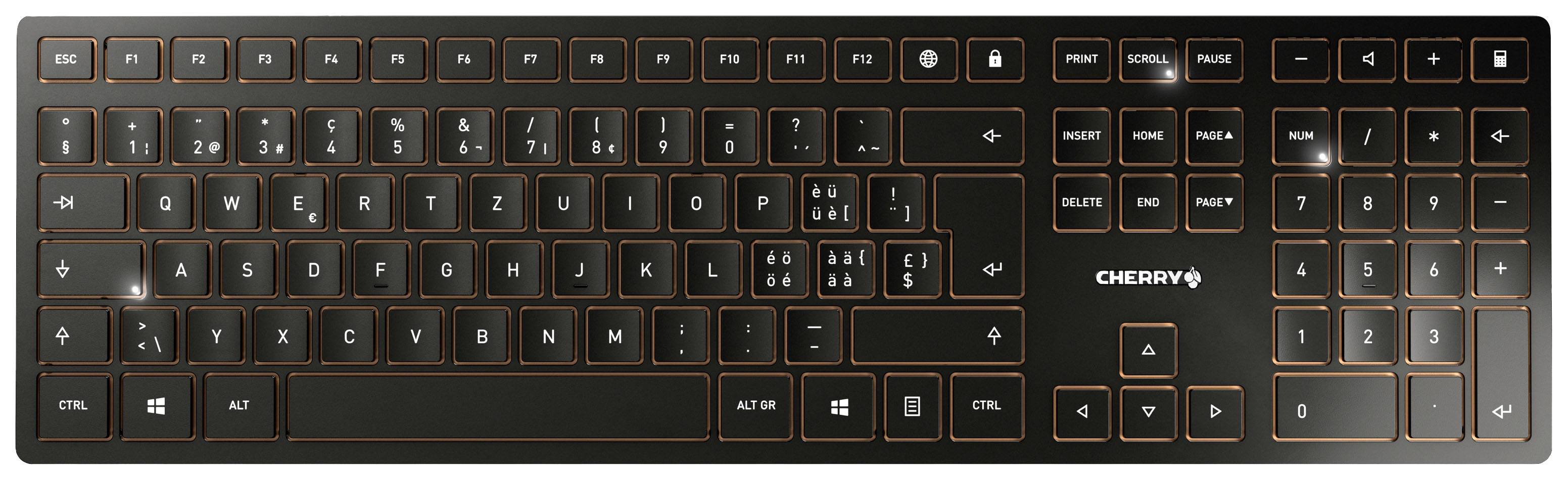 CHERRY JD-9100CH-2 Kabellos, Funk Tastatur, Maus-Set Schweiz, QWERTZ Schwarz