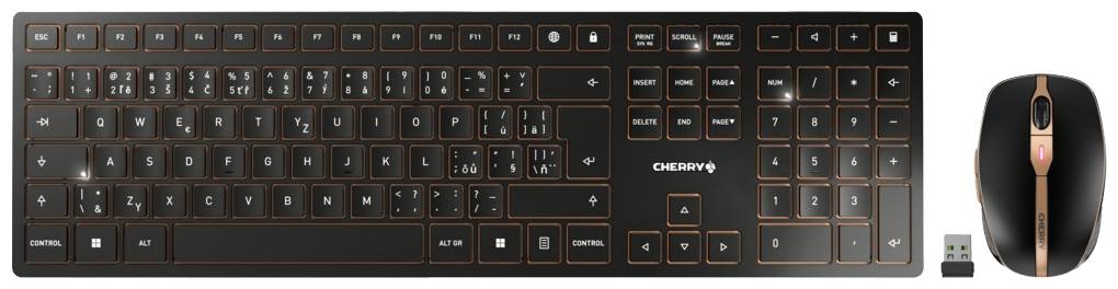 CHERRY JD-9100CS-2 Kabellos, Funk Tastatur, Maus-Set Tschechisch Schwarz