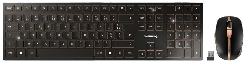 CHERRY JD-9100FR-2 Kabellos, Funk Tastatur, Maus-Set Französisch, AZERTY Schwarz