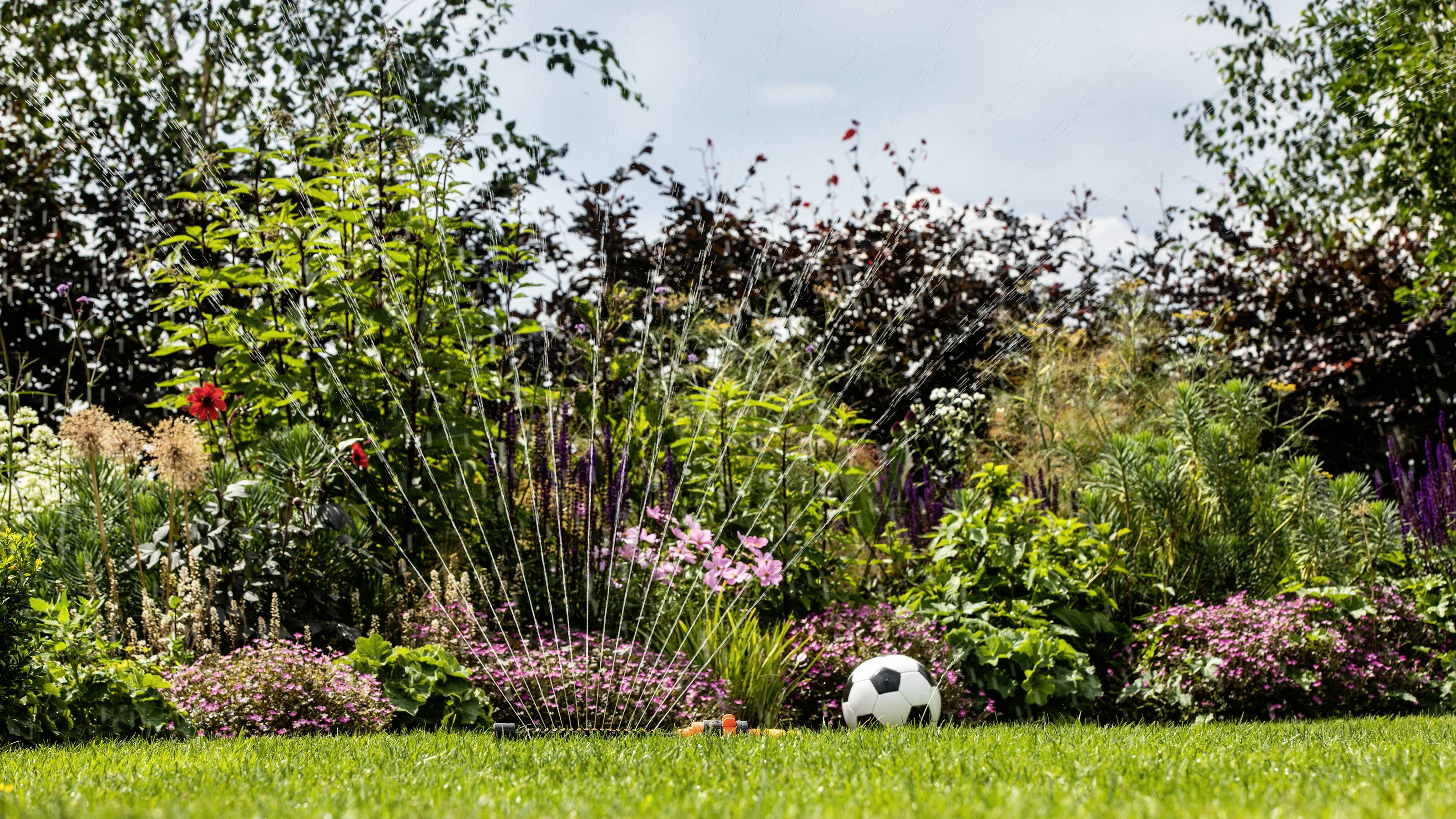 Ein blühender Garten mit einem Rasensprenger im Vordergrund, der Wasser sprüht. Ein Fußball liegt zwischen den Pflanzen.