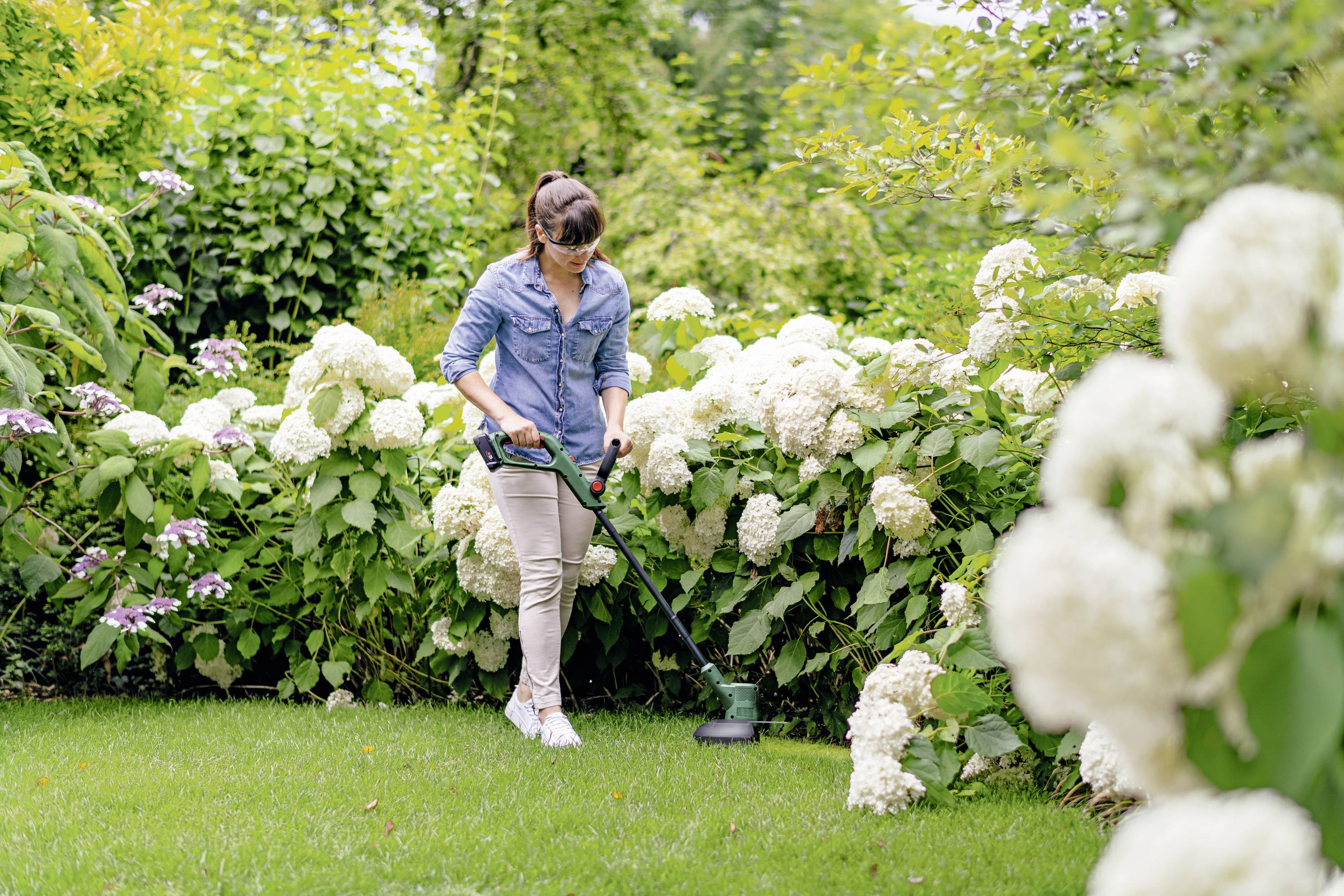 Frau trimmt mit einem Rasentrimmer den Rasen in einem Garten mit blühenden weißen Hortensien im Hintergrund.