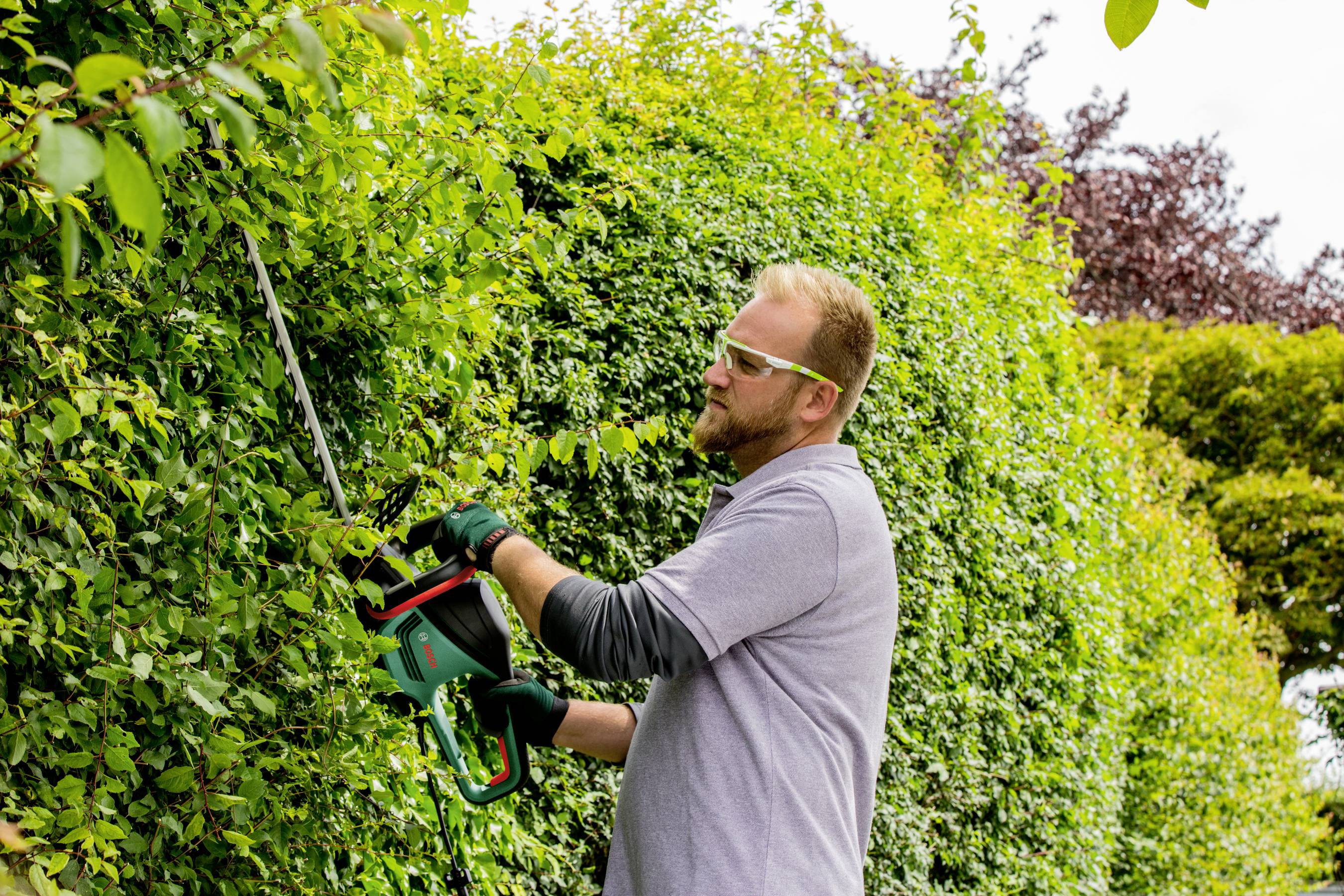 Bosch Home and Garden AdvancedHedgecut 65 Elektro Heckenschere 500 W