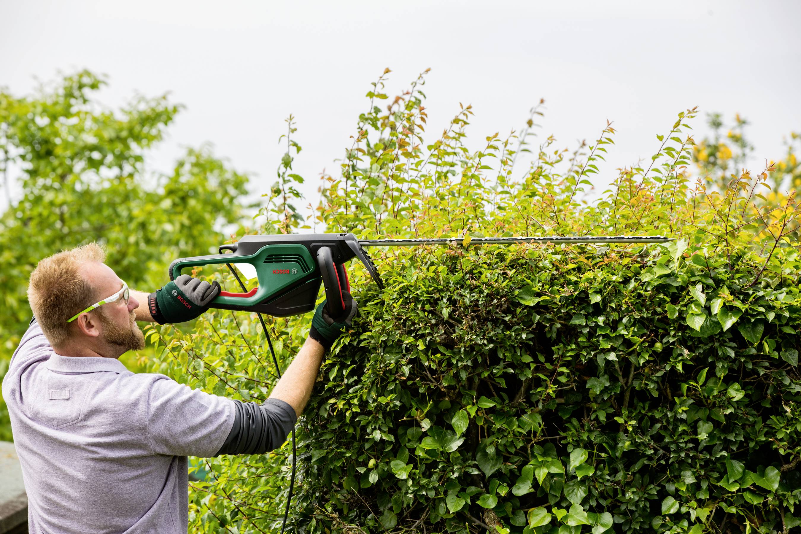 Bosch Home and Garden AdvancedHedgecut 65 Elektro Heckenschere 500W