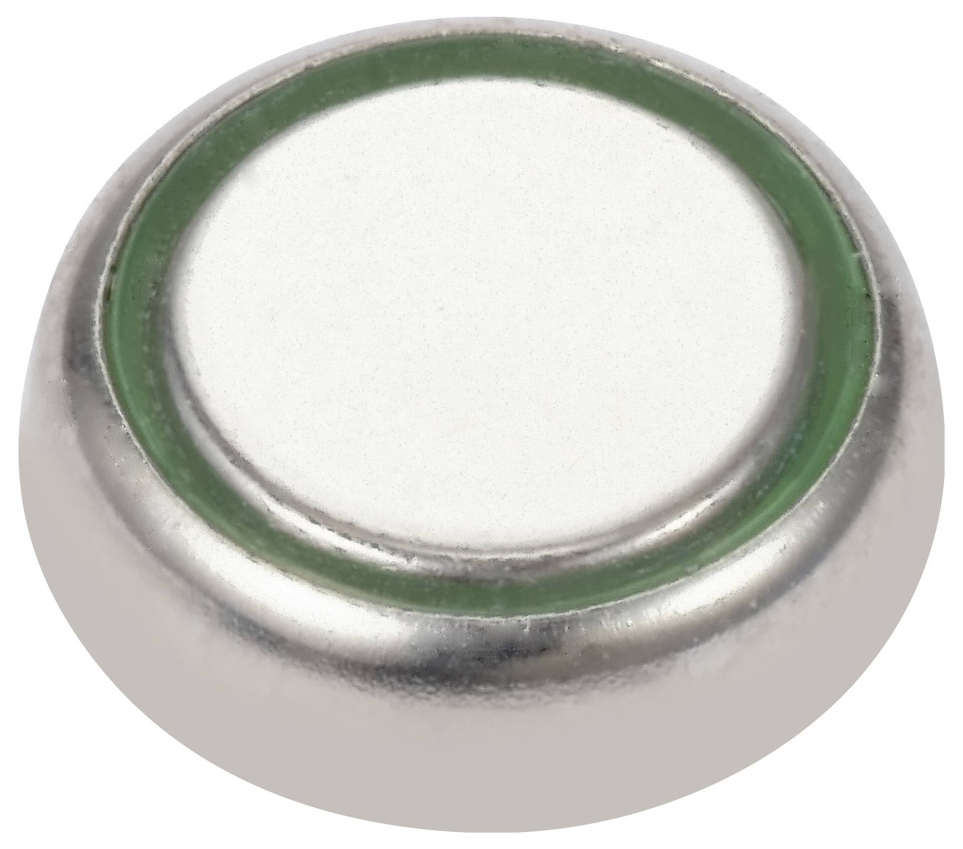 Eine kleine, silberne Knopfzelle mit grünem Ring.