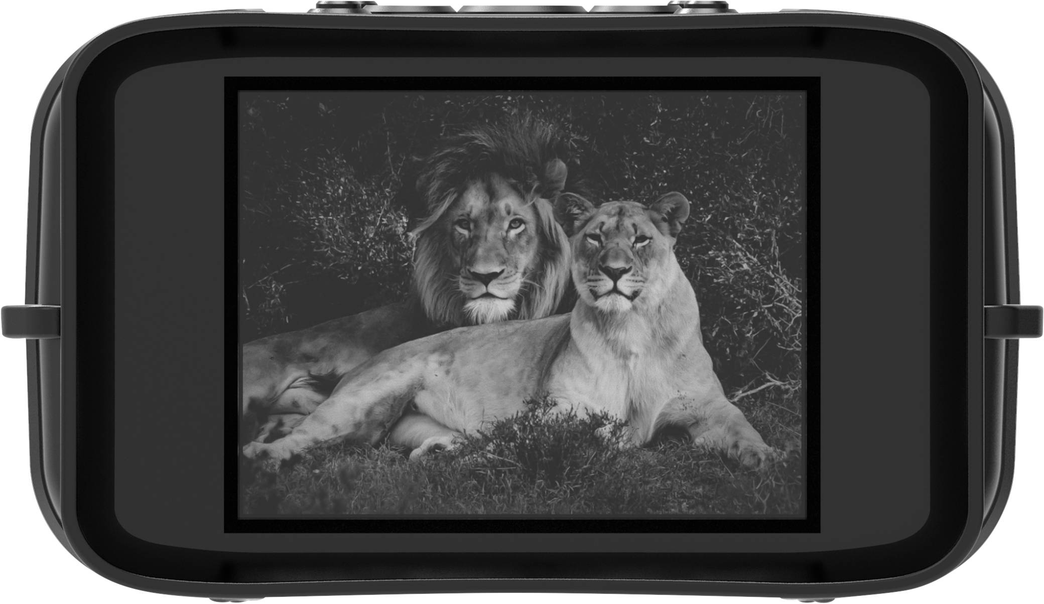 Renkforce RF-5044476 Nachtsichtgerät 10 x 25mm Generation Digital