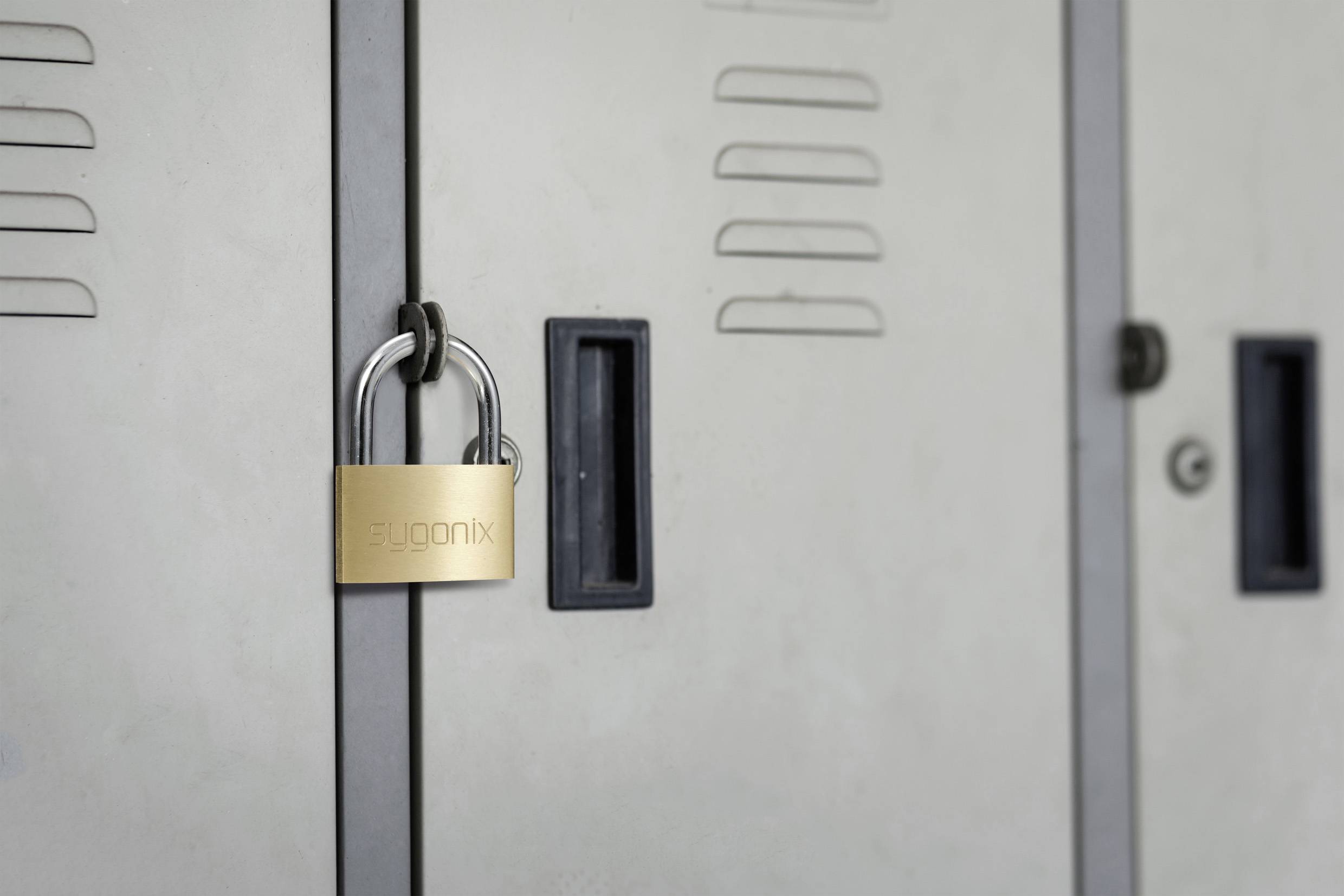 Sygonix SY-5045286 Vorhängeschloss 49mm teilweise gleichschließend Goldgelb Schlüsselschloss