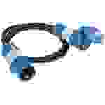 AS Schwabe 61402 alimentation Rallonge noir, bleu 1.5 m