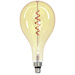 Müller-Licht tint LED-Leuchtmittel tint Retro Bulb Gold XXL EEK: G (A - G) E27 4.9 W