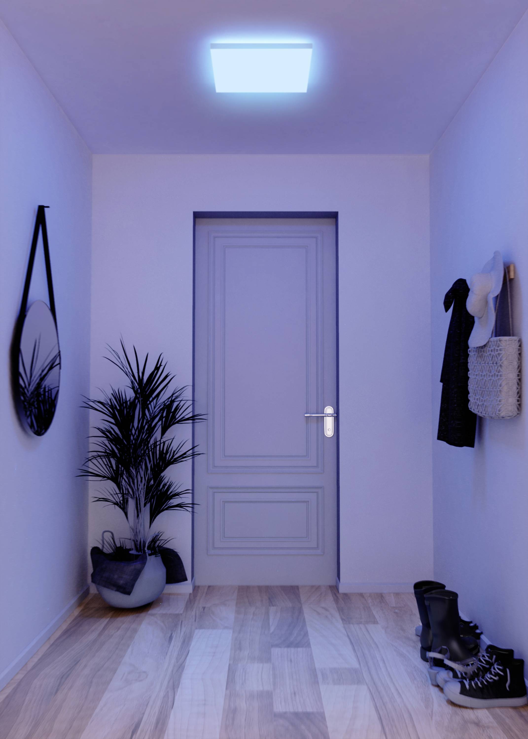 Ein schmaler Flur mit Holzboden führt zu einer geschlossenen Tür. An den Wänden hängen ein Spiegel und Kleidungsstücke. Ein Topf mit Pflanze steht auf dem Boden.