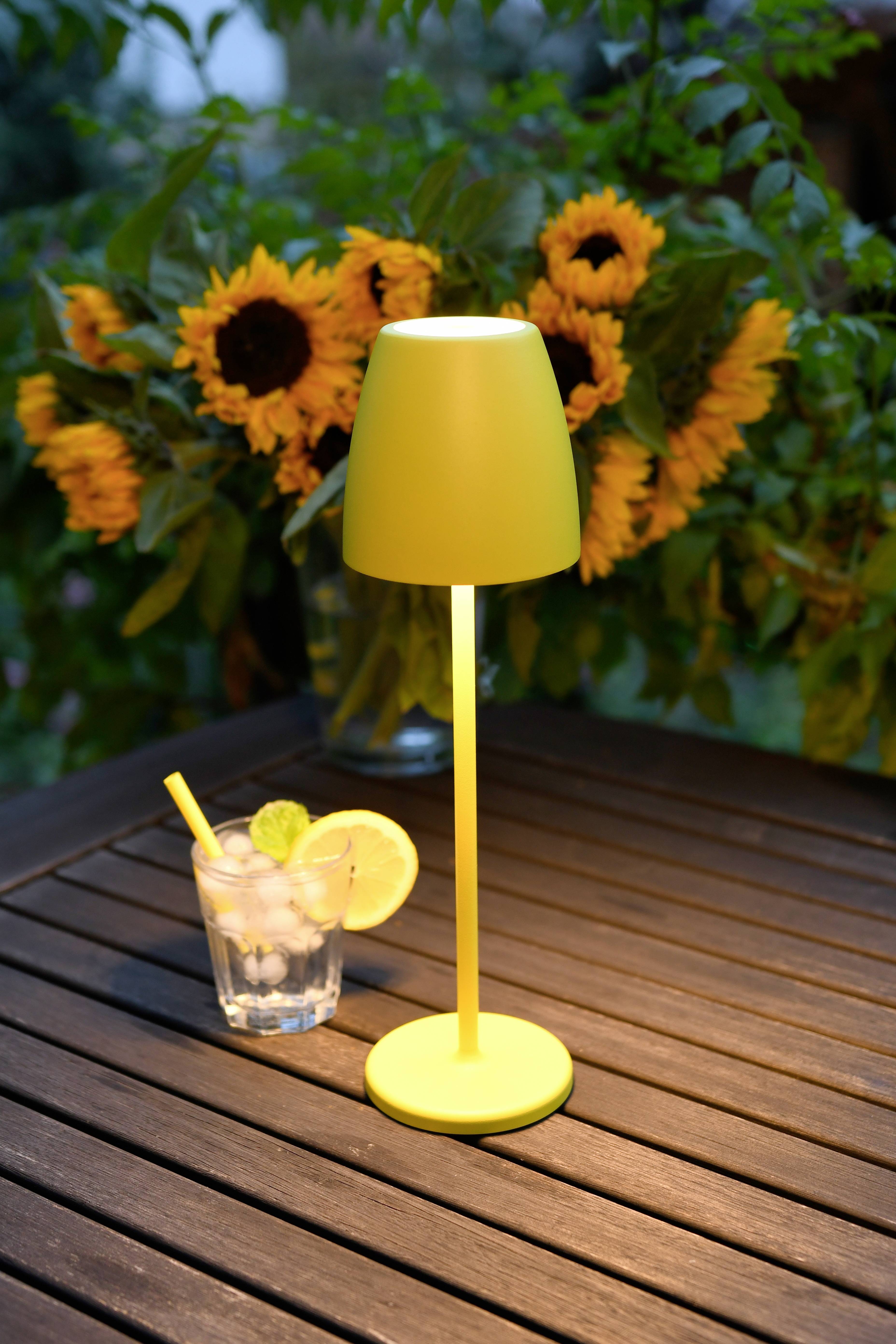 Megatron MT68055 TAVOLA Außentischleuchte 2 W Warmweiß Sonnengelb